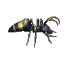 Giant Soldier Ant