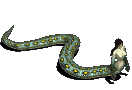 Serpent of Elindare (green)